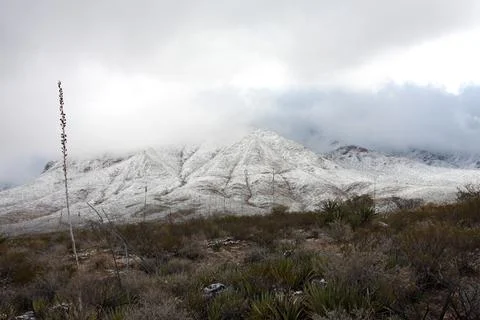 Snow on Franklin Mountains Stock Photos