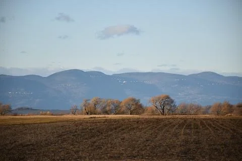Snow geese in the fall Foto stock