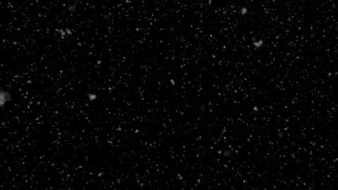 Snow Gently Falling on a Black Background 4K Loop Stock Footage 256049138