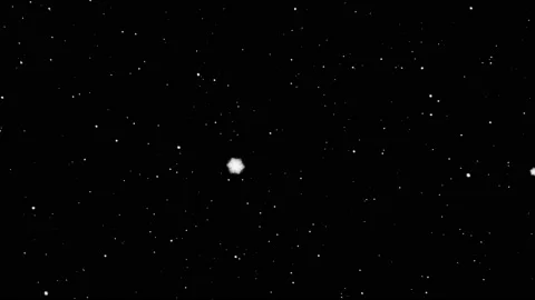 A Snow gently falling down from sky Stock Footage 155222917