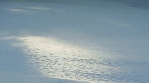 Snow Gently Falling on Drift Sun Patch Slow Motion Stock Footage 22502519