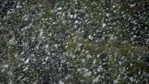 Snow Gently Falling in the Forest Abstract Background Stock Footage 126306983