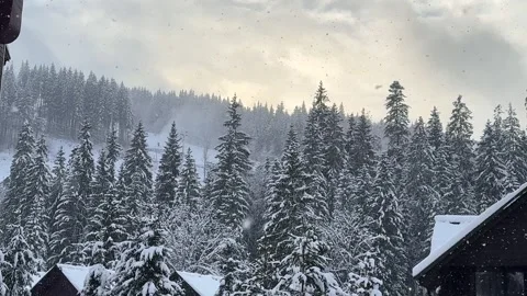 Snow gently falling over a picturesque mountain forest Stock Footage 294379123