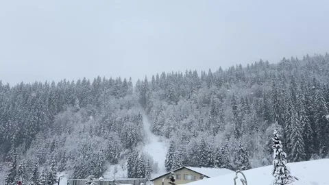 Snow gently falling over a serene mountain forest blanketed in white Stock Footage 294378896