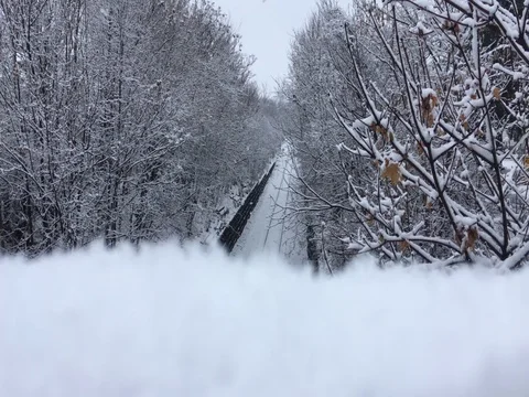 Snow Gently Falling Over Train Tracks and Trees Stock Footage 88378715