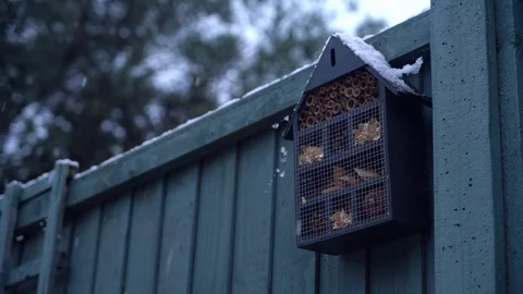 Snow gently falling in slow motion Stock Footage 101682249