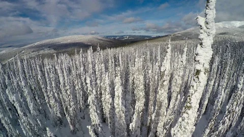 Snow Ghost Drone 4K reverse Stock Footage 119801605