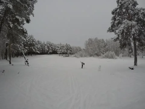 Snow glade Stock Photos
