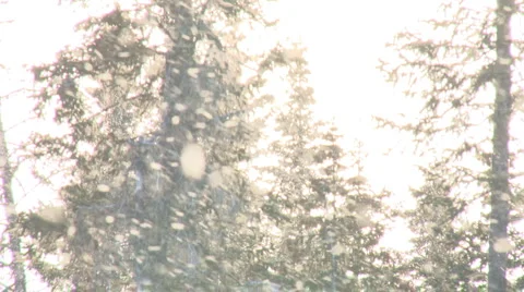 Snow Globe Stock Footage 2564129