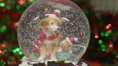 Snow globe with intense snowfall effect and dog figurine closeup, vendor Stock Footage 320237292