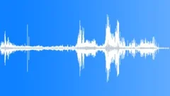 Snow Goose CU Contact Sound Effect