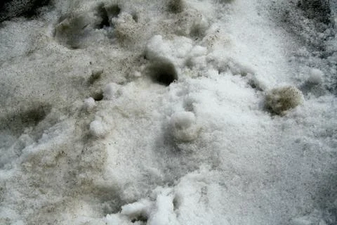 Snow Grains Stock Photos
