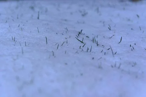 Snow on grass in Canillo in Winter. Canillo, Andorra Stock Photos