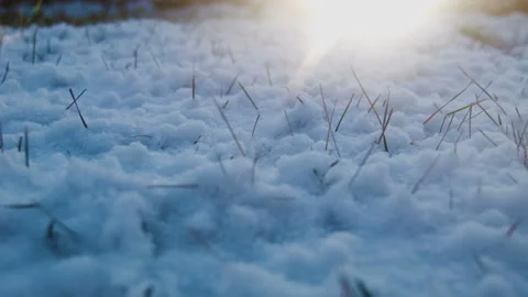 Snow on the grass in evening Stock Footage 100540959