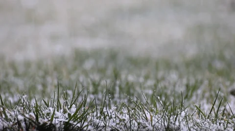 Snow on the grass Stock Footage 36037516