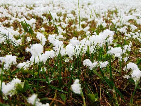 Snow on the grass - Maramures Stock Photos