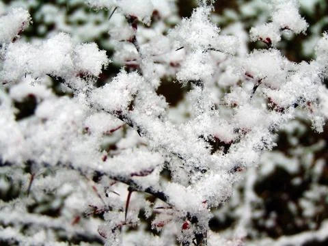 Snow on the grass - Maramures Stock Photos