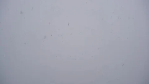 Snow on a gray sky background Vidéo 89143519