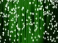 Snow Green 05 keep falling Loop Web Footage