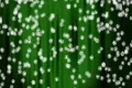 Snow Green 05 keep falling Loop Footage