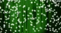 Snow Green 05 keep falling Loop HD Footage