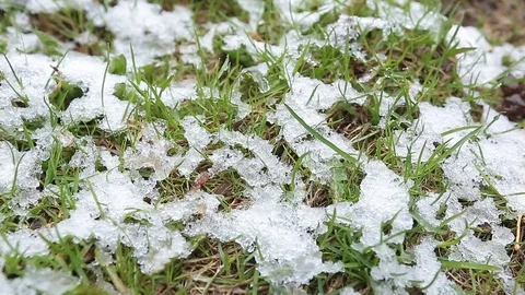 Snow on green grass Stock Footage 106225466
