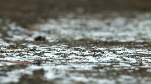 Snow on a ground close up 2 Stock Footage 10679022