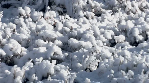 Snow on ground Video stock 1052118