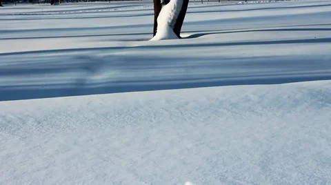 Snow on the ground Video stock 34511754