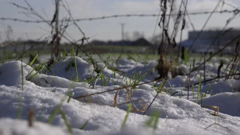 Snow on the ground with wire fence UK 4K Video stock 147913853