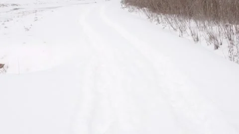 Snow hand held real time video, snow storm, extreme weather, winter frozen river Video stock 262379201