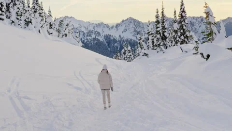 Snow Hike Stock-Footage 315114876