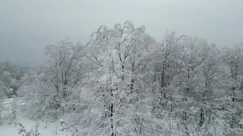 Snow hill 3 Video stock 231813286