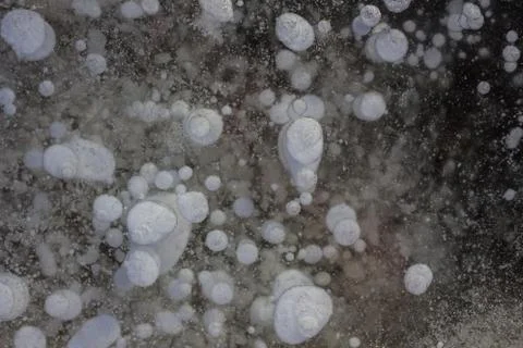 Snow in the ice. Stock Photos