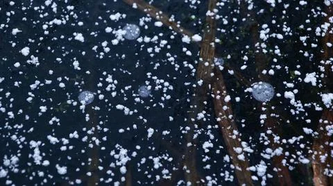 Snow on the Ice Surface Stock Photos