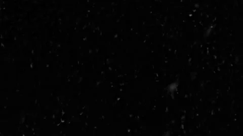 Snow, Isolated On Black Background Stock Footage 46210877