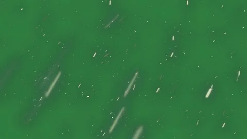 Snow on it and background lot of rain falling from the sky lots flakes an 库存影片 337341084