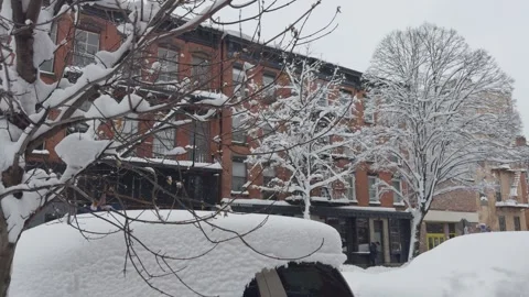 Snow-Laden Tree Branches Framing Brooklyn Residential Buildings, Blizzard Video stock 329888808