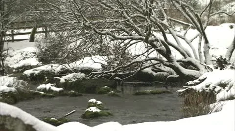 Snow laden tree leans over river at bellever Video stock 20842788