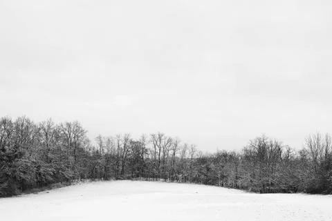 Snow landscape #3 Stock Photos