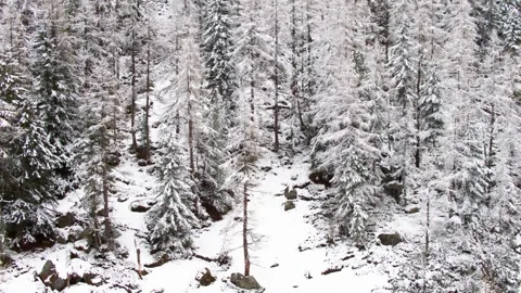Snow landscape and forest small river Inspire2 4k Stock Footage 253401340