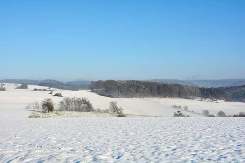 Snow landscape with fields , forest  and  blue sky Stock Photos
