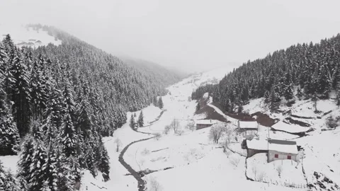 Snow landscape in the forest Stock Footage 323558991