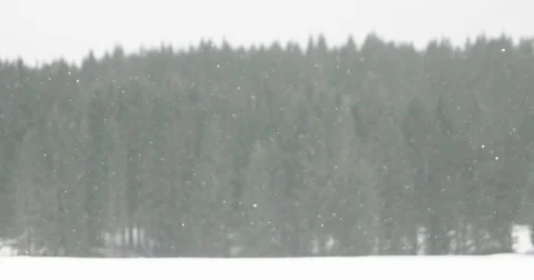 Snow landscape pattern Vídeo Stock 73553893
