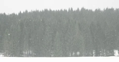 Snow landscape pattern Video stock 73554137