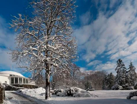 Snow landscape Foto stock