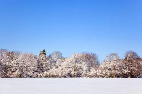 Snow landscape Stock Photos