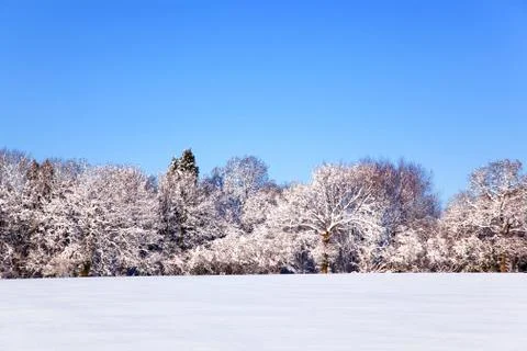 Snow landscape Stock Photos