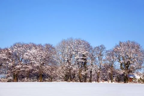 Snow landscape Stock Photos