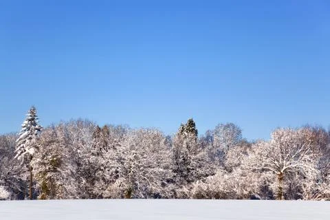 Snow landscape Stock Photos